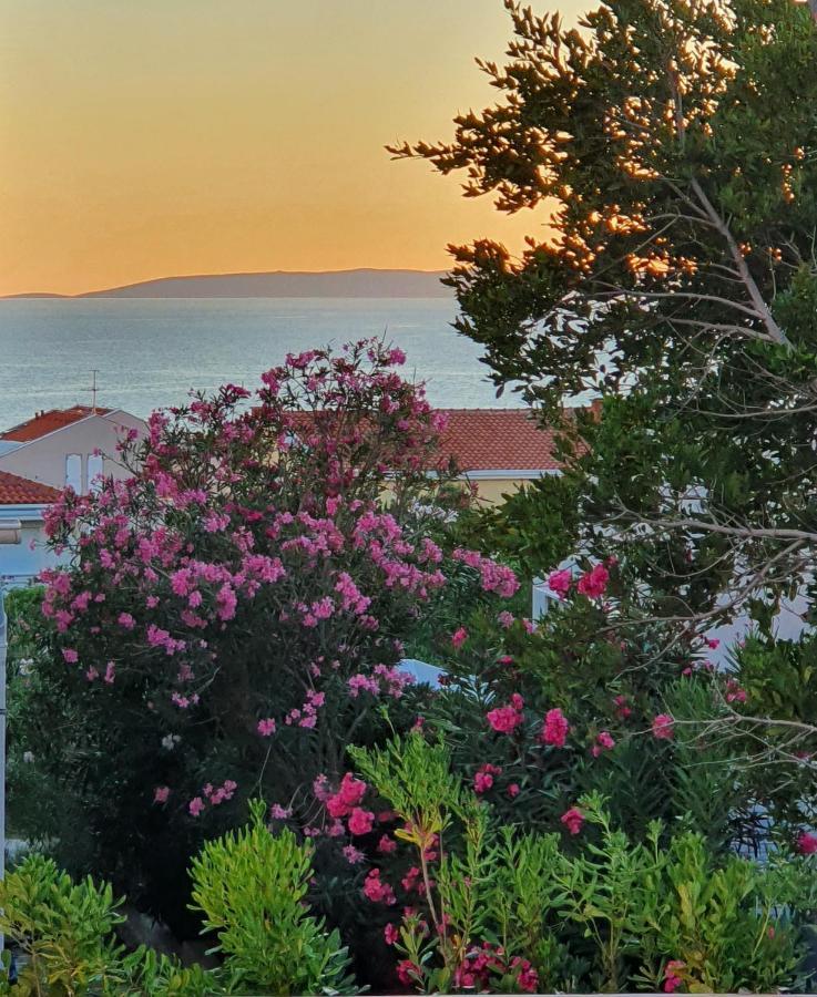 Villa Aquamarine Apartments Novalja Kültér fotó